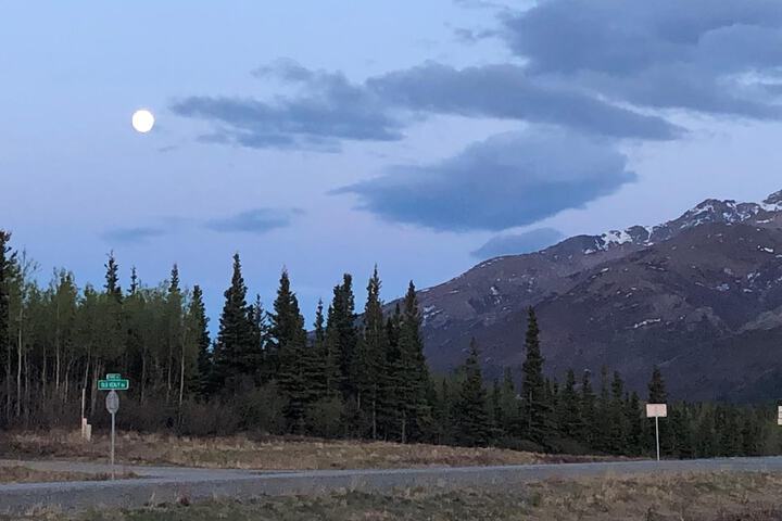 Denali Park Hotel
