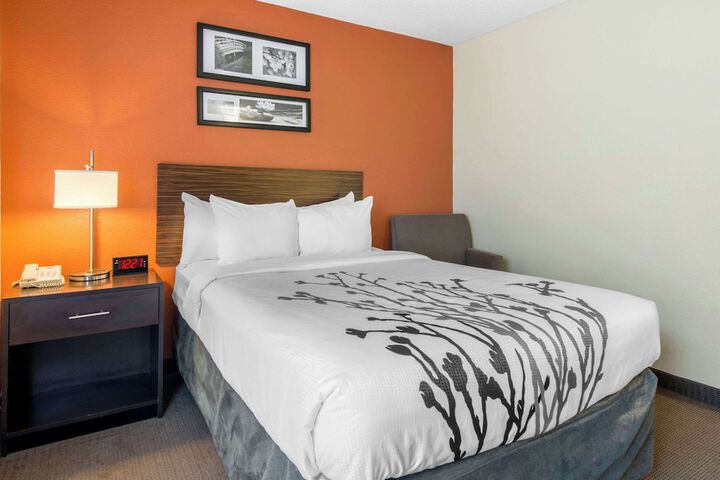 Room 20 of 41