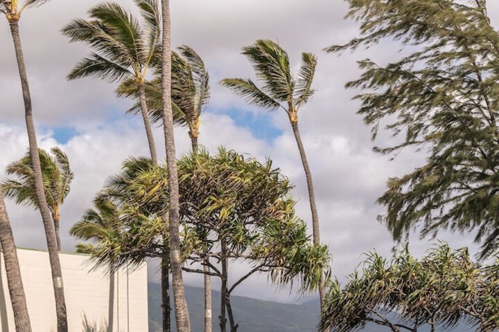 Maui Beach Hotel