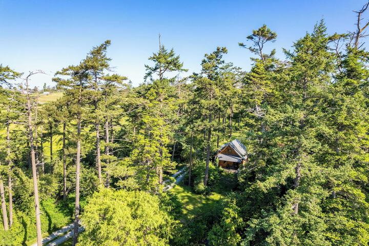 Penn Cove Overlook by Avantstay Cabin w / Views
