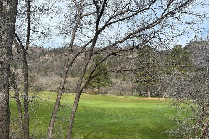 Tamarron Gambel Oak 790 - Wild Turkey Ridge - Durango CO