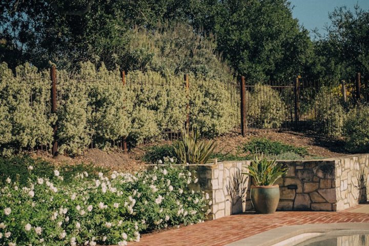 Holman Ranch Estate Vineyard & Winery