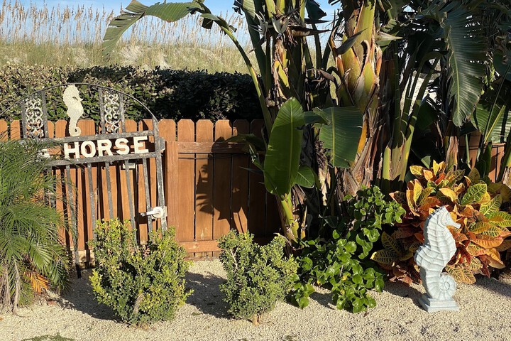 Seahorse Oceanfront Inn