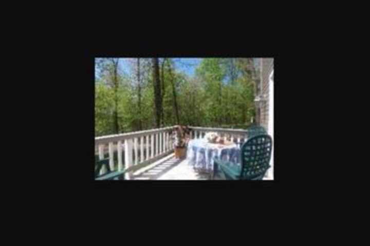 Tree Top Bed & Breakfast