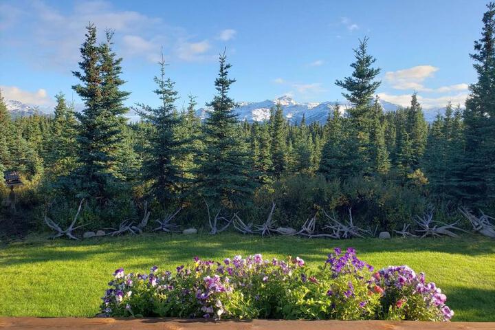 Denalis Alaskan Spruce Cabins