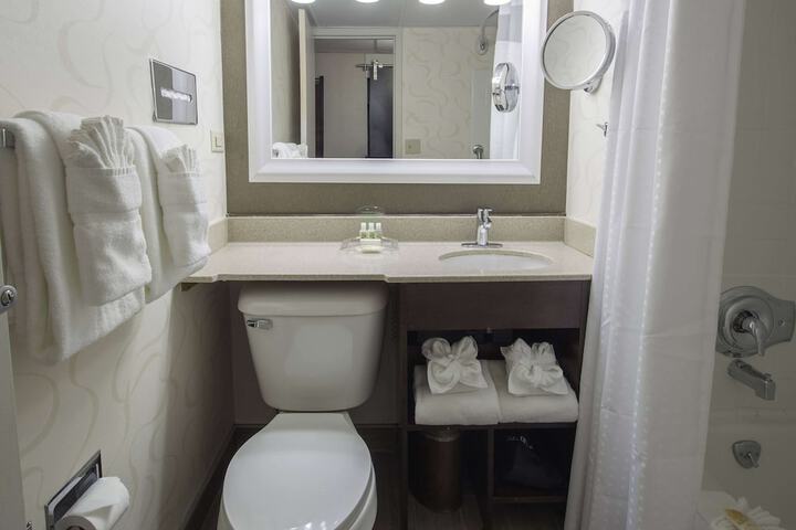 Wyndham Rochester Downtown