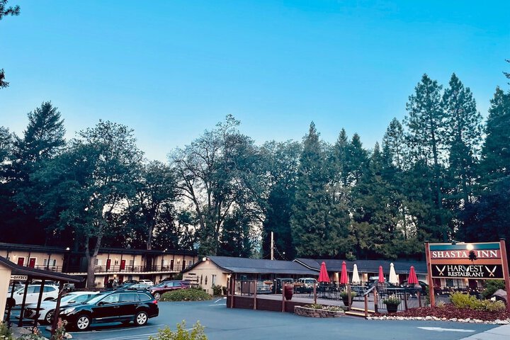 Shasta Inn