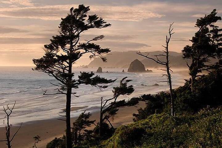Beach 53 of 60
