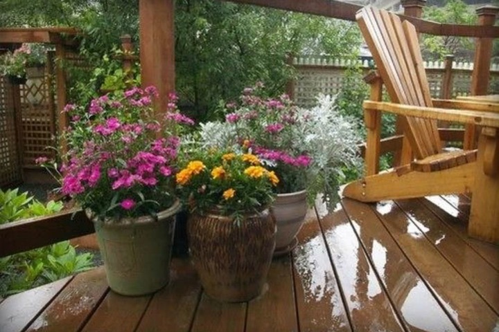 Terrace/Patio 44 of 46