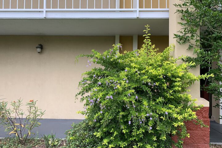 Hotel Exterior 72 of 76