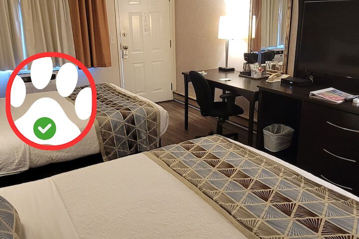 Room 8 of 43
