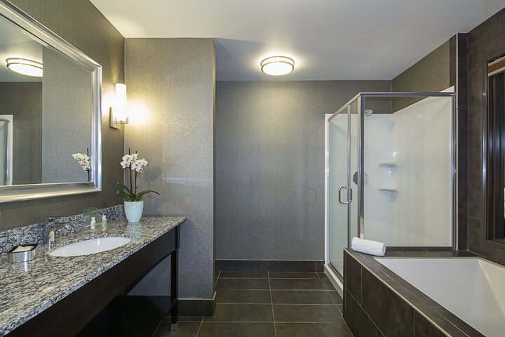 Holiday Inn & Suites Silicon Valley - Milpitas by IHG