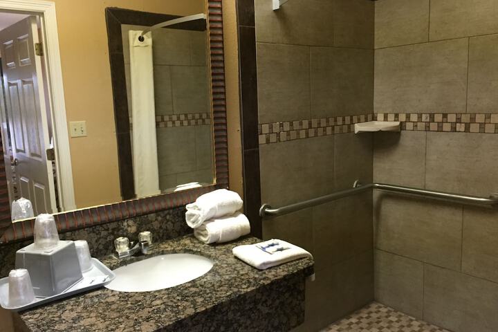 Texas Inn Alamo