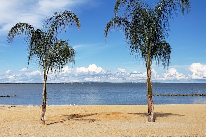 Colonial Beach Plaza Bed & Breakfast