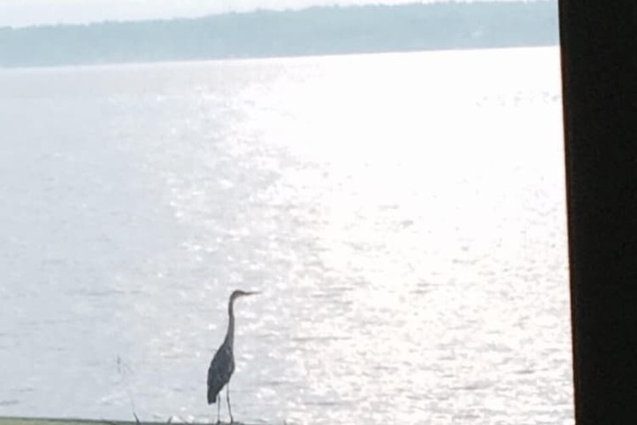 Waters Edge B & B Resort