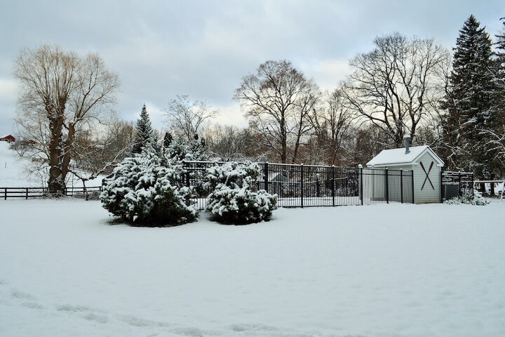 Maple Terrace Motel