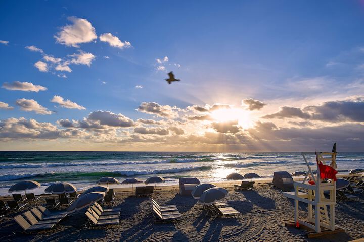 Yacht Club at the Boca Raton (Adults-only)