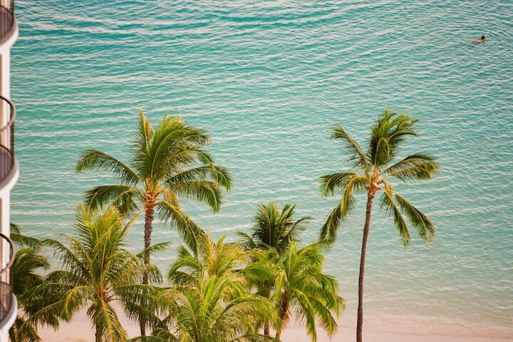Beach 217 of 242