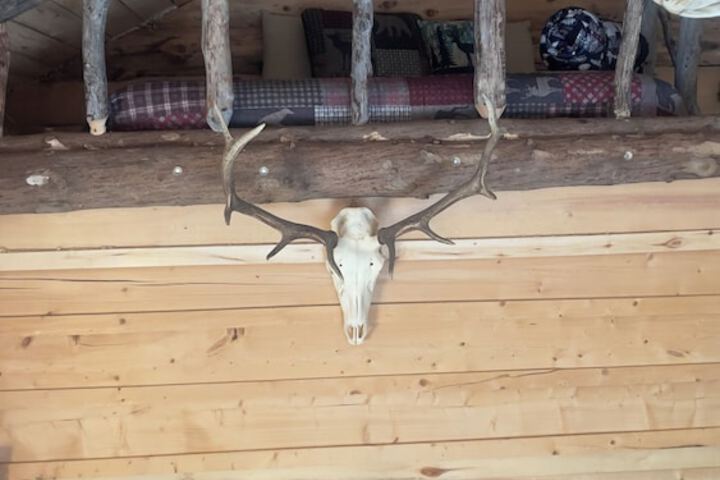 Wrangell Mountain Lodge