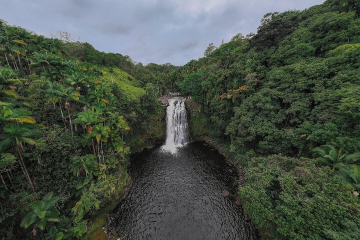Howzit Hostels Hawaii