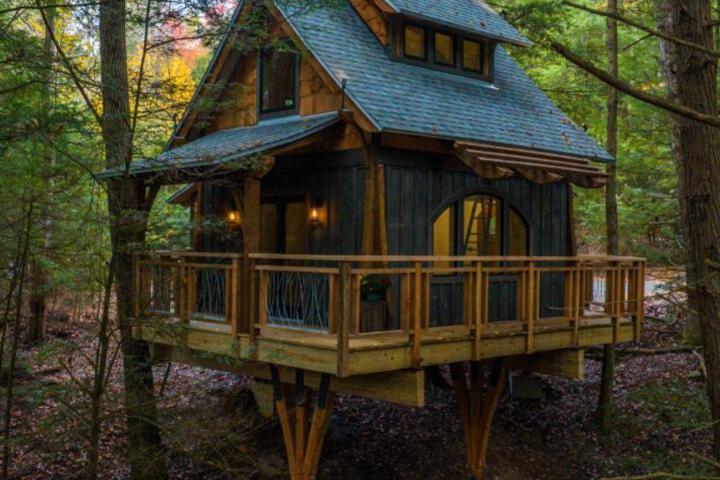 Enchanted Evergreen