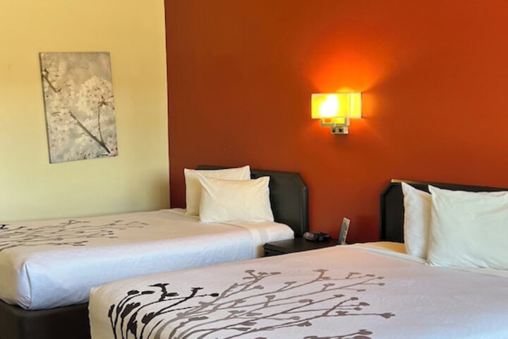 Room 25 of 45
