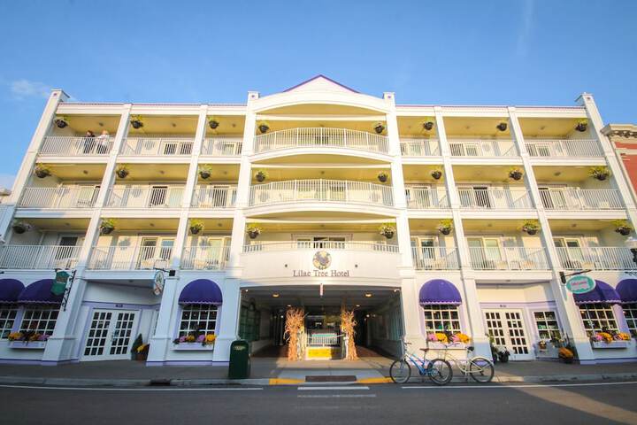Lilac Tree Suites
