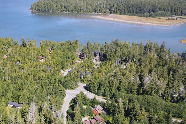 Black Bear Guesthouse