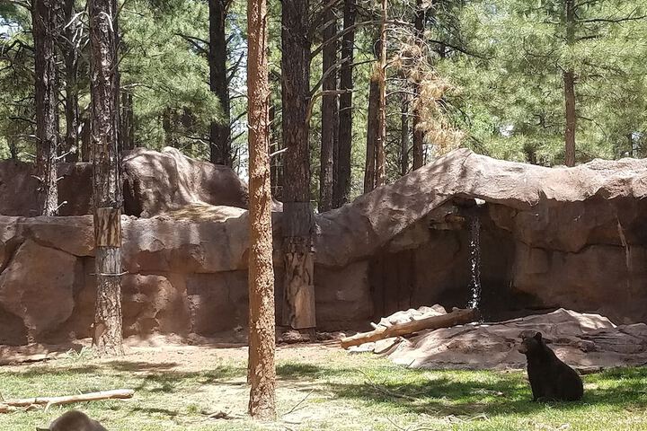 Comfort Inn Near Grand Canyon
