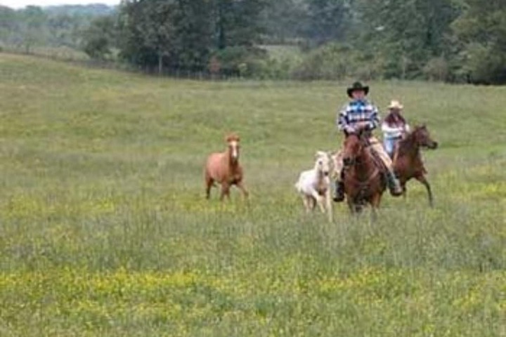Seventy-four Ranch