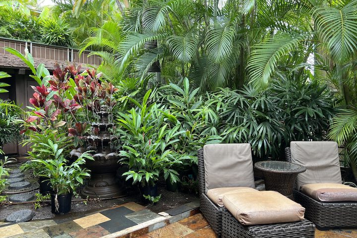 Terrace/Patio 45 of 52