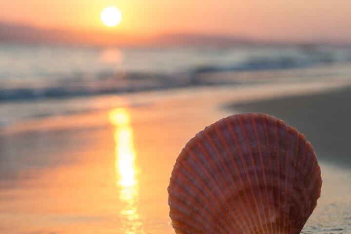 Holiday Inn Resort South Padre Island - Beach Front by IHG
