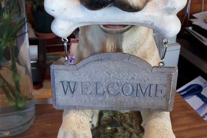 Pet Friendly 68 of 83