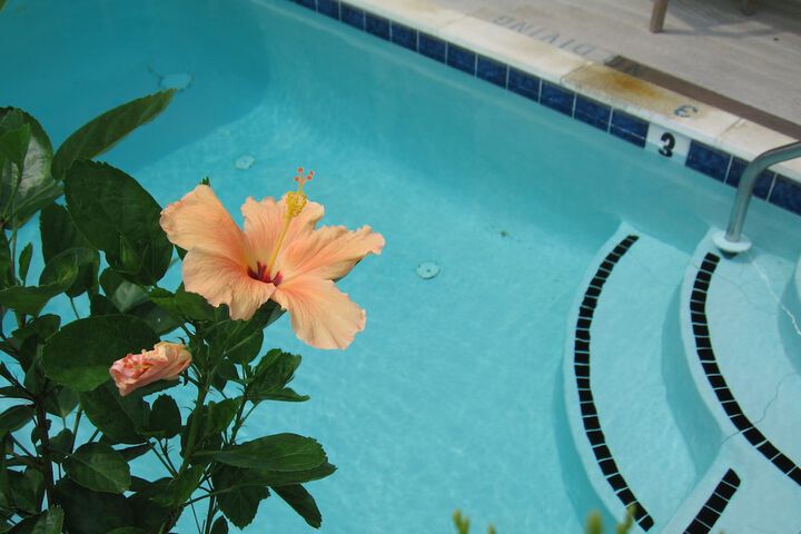 Pool 14 of 186
