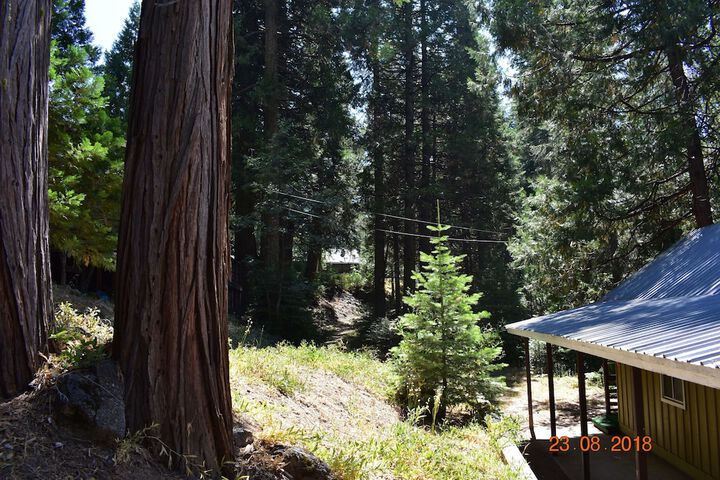 Property Grounds 34 of 39