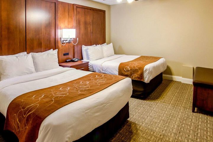 Comfort Suites Georgetown