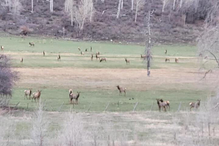 Circle K Ranch