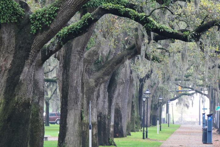 Hotel Indigo Savannah Historic District by IHG