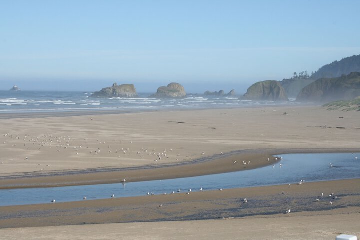 The Waves / The Argonauta Inn/The White Heron Lodge