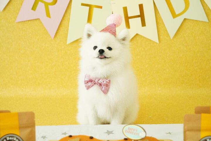 Pet Friendly 22 of 22