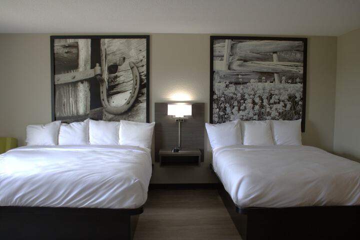 Boarders Inn & Suites
