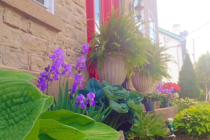 Sir Isaac Brock B & B Luxury Suites