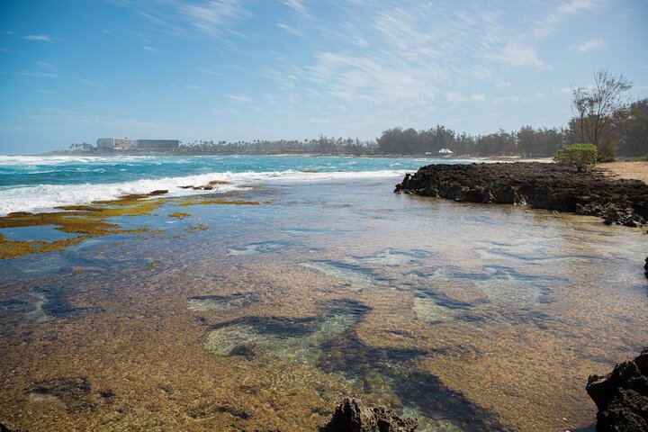 Beach 135 of 159