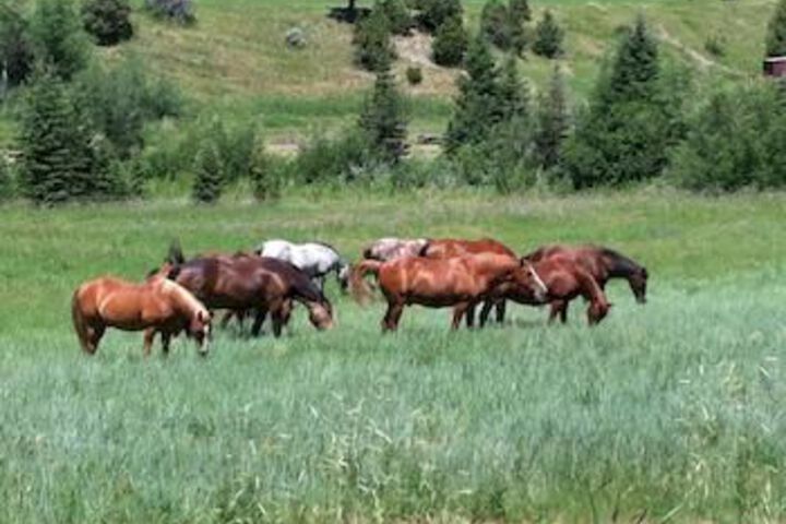 Diamond J Ranch
