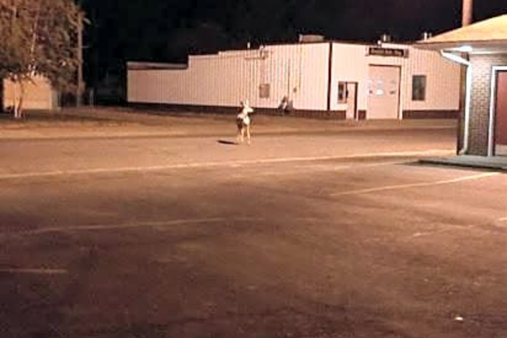 17 of 28