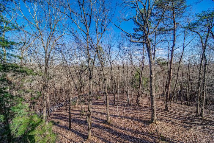 Luxury Mountain Home in Big Canoe! Golf / Lake / EV / Game Room!