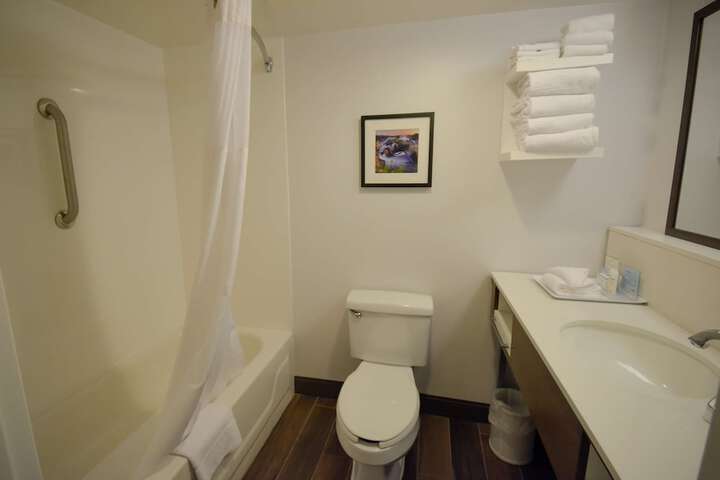 Hampton Inn Salem East - Electric Road