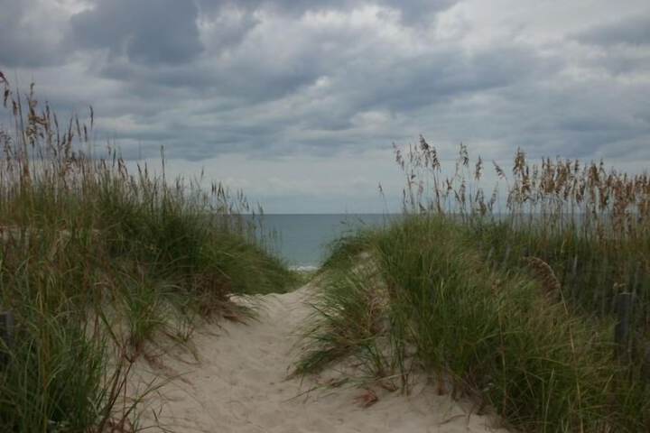 Beach 99 of 113
