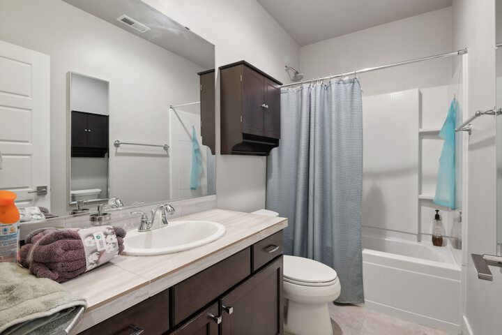 Cozy 1br Retreat in Sammamish 1 Bedroom Apts