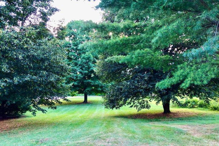 Property Grounds 30 of 32